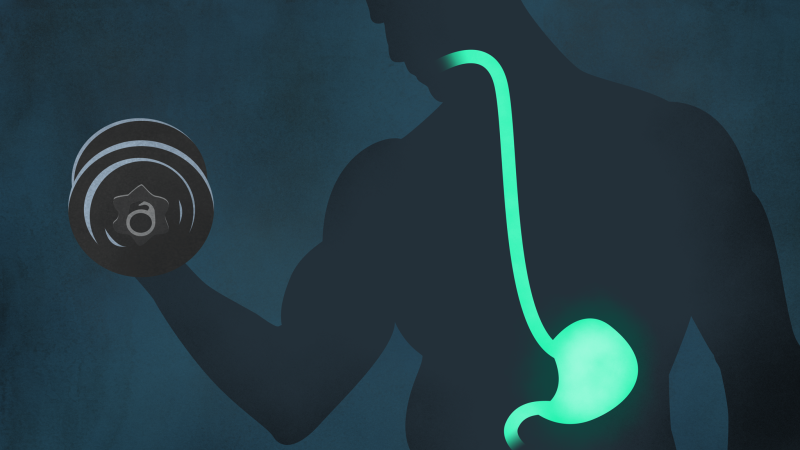 Illustration for article titled Perros de diseño, una carrera terrorífica, cada vez menos sexo. Lo mejor de la semana
